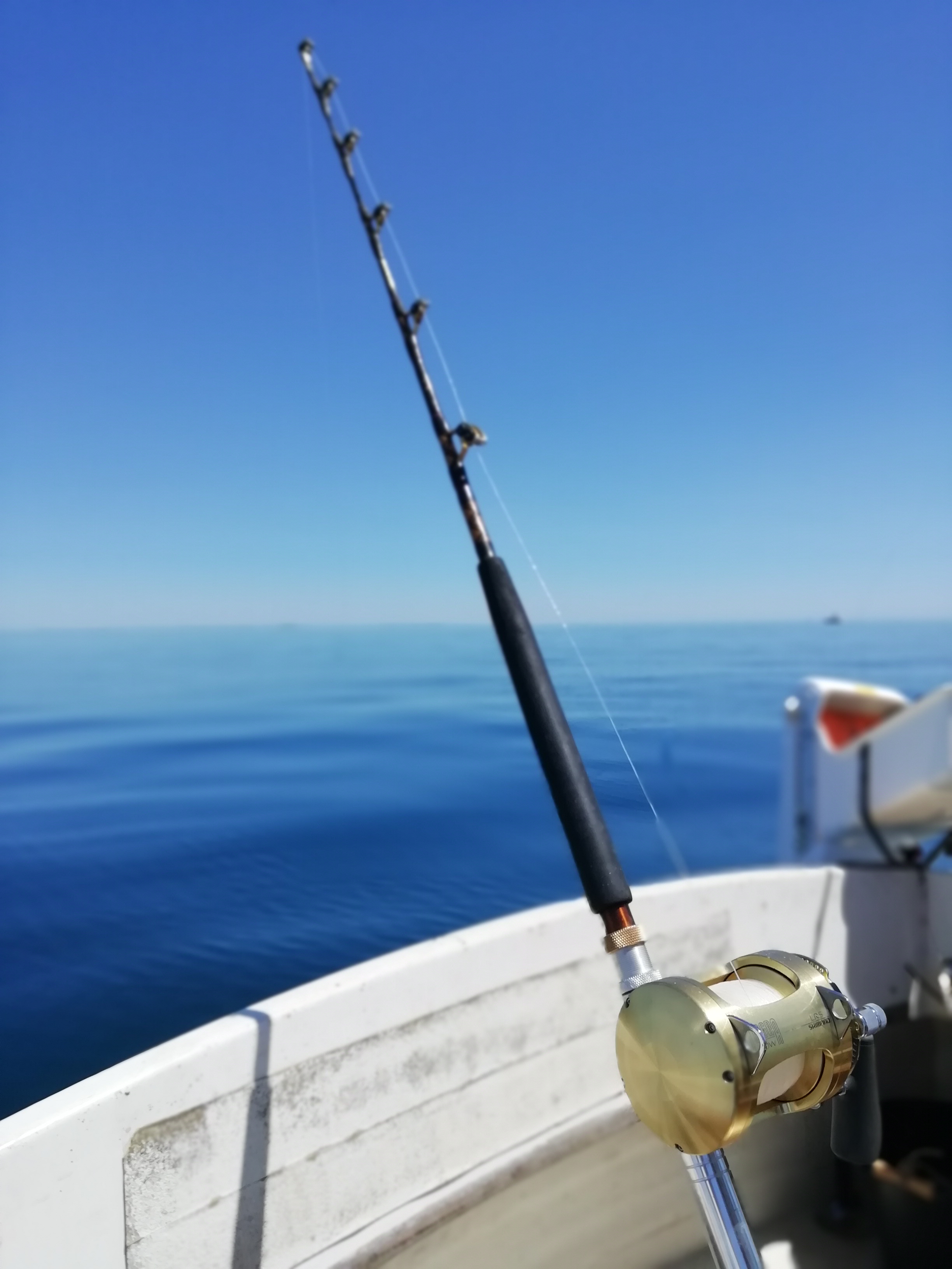 Image of a Fishing Rod