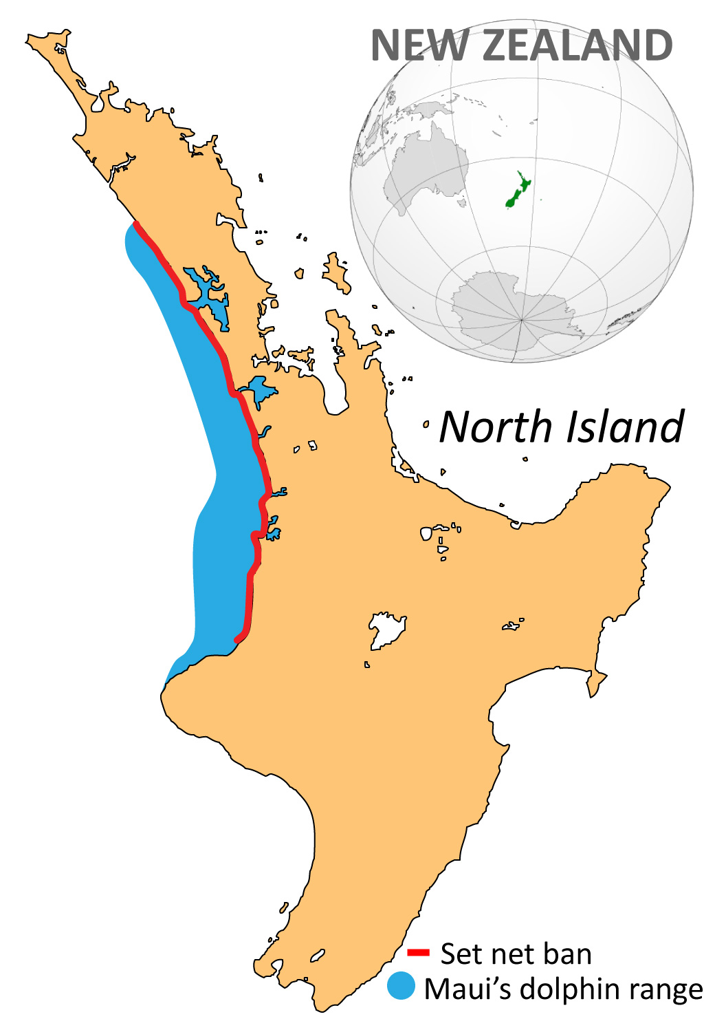 Image of where to spot Māui Dolphins